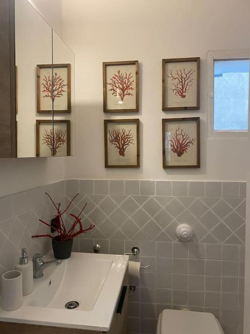 Casa Vacanza Al Duomo: تْشيفالو المظهر الخارجي الصورة